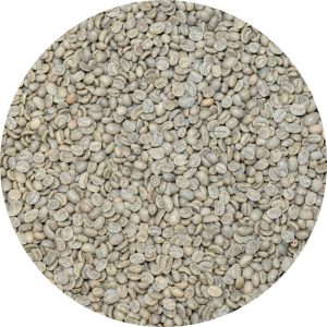 Costa Rican Central Valley - Cafe Vida - Washed Processed