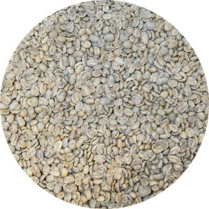 Guatemalan Premium Huehue. Vista Al Bosque - Maragogype Washed