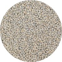 Kenya Machakos - Kaliluni - Peaberry