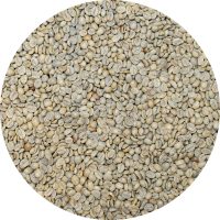 Mexican Grupo Terruño Nayarita - Fantastico Afrutada Reserva Natural