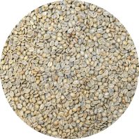 Mexican Terruño Nayarita - El Cuarenteño Reserve - Natural Processed