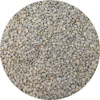 Mexican Terruño Nayarita - El Cuareteño Fantástico Reserva - Washed Processed