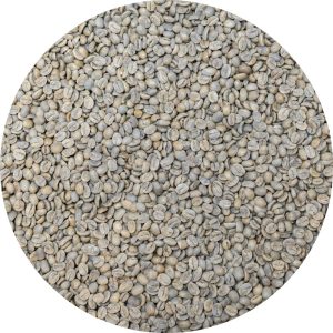 Mexican Terruño Nayarita - El Cuareteño Fantástico Reserva - Washed Processed