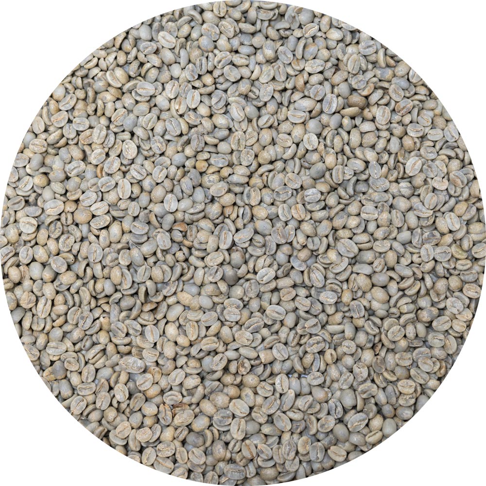 Mexican Terruño Nayarita - El Cuareteño Fantástico Reserva - Washed Processed