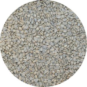 Papua New Guinea - Nebilyer Valley - Washed Processed