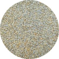 Peru Junin COOPAGRY - Cesar De La Cruz - Red Caturra - 45 Hour Anaerobic Washed Processed