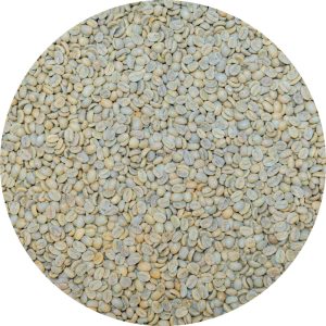 Peru Junin COOPAGRY - Cesar De La Cruz - Red Caturra - 45 Hour Anaerobic Washed Processed