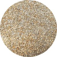 Rwanda Nyamasheke - Mutovu Station - Natural