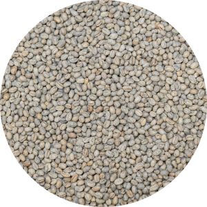 Tanzania North FAQ Plus - Peaberry Washed Processed