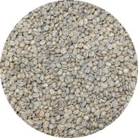 Timor Org. CCT - Washed Processed