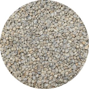 Timor Org. CCT - Washed Processed