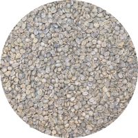 Zambia RFA AA - Nsunzu Estate - Washed Processed