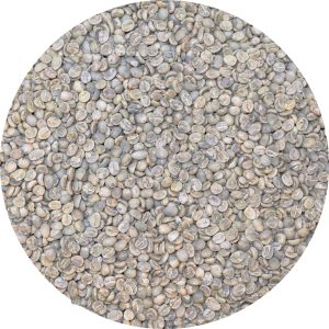 Zambia RFA AA - Nsunzu Estate - Washed Processed