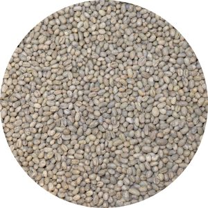 Zambia RFA Kateshi Estate - Peaberry Processed