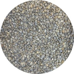 Indonesian Flores Bajawa Ngura “Komodo Dragon” Wet-Hulled