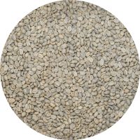 Colombian Excelso BCT Select Washed Processed