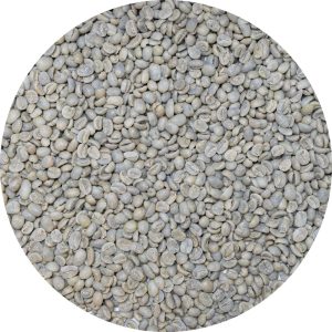 Guatemalan SHB EP BCT Select Washed Processed