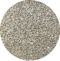 Nicaraguan Jinotega Olomega Supreme SHG EP Washed