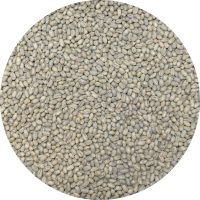 Papua New Guinea - Korgua Estate - Peaberry