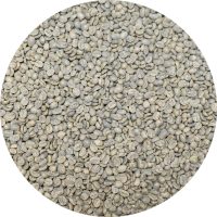 Costa Rican Palmares SHB EP Monte Crisol
