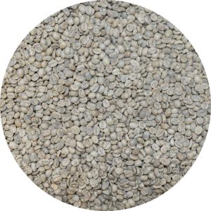 Nicaraguan Premium Selva Negra - San Felipe Washed Processed