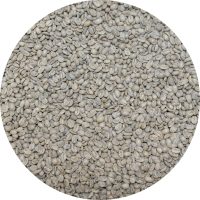 Nicaraguan SHG RFA Selva Negra - Geisha Washed Processed