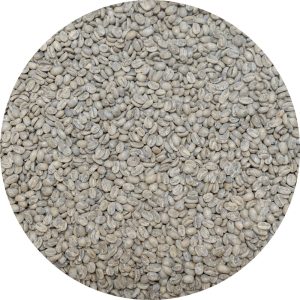Nicaraguan SHG RFA Selva Negra - Geisha Washed Processed