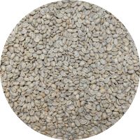 Nicaraguan SHG RFA Selva Negra Parainema - Washed Processed
