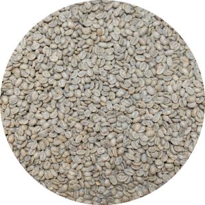 Nicaraguan SHG RFA Selva Negra Parainema - Washed Processed