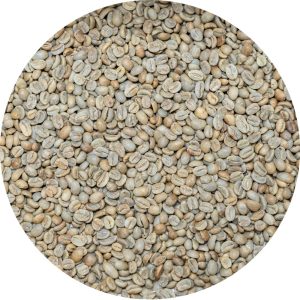 Honduran Org. CAFESMO Mercedes - Natural Processed