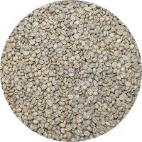Mexican Oaxaca Temaxcalapa - Sierra Norte - Washed Processed