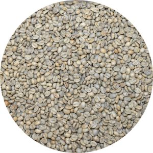 Mexican Oaxaca Temaxcalapa - Sierra Norte - Washed Processed