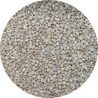 Bolivian Premium - Caranavi Indigenous - Apolo Microlot - Cafe Kreyol