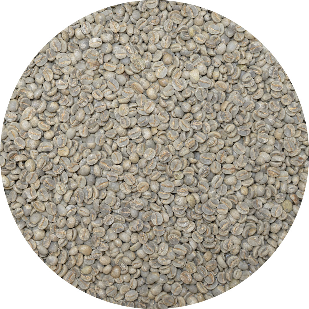 Brazil Mogiana FAF Bob-O-Link - Pirapitinga Natural Yellow Catuai