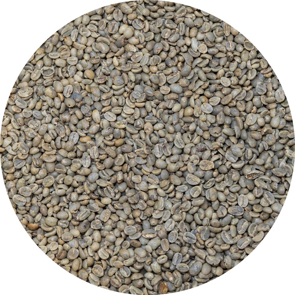 Burundi Tangara - Butanyerera - Washed Processed