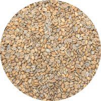 Colombia Acevedo Huila - Lisandro Cardenas - Finca Las Brisas - Gesha Natural