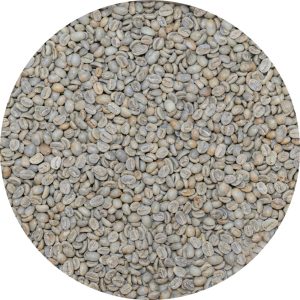 Colombian Cauca - Caldono Castillo AA - Washed Processed