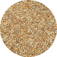 Colombian Cauca - Finca Patio Bonito - Trujillo Family - Pacamara Anaerobic Natural