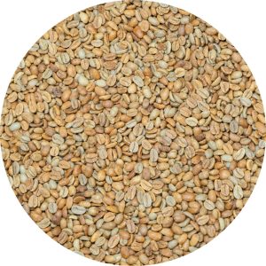 Colombian Cauca - Finca Patio Bonito - Trujillo Family - Pacamara Anaerobic Natural