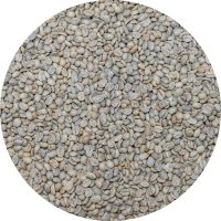 Costa Rican Las Lajas Micromill - Finca Chilamate - Catuaí Red Honey