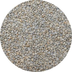 Costa Rican Las Lajas Micromill - Finca Chilamate - Catuaí Red Honey