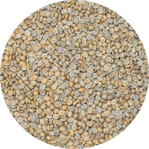 Costa Rican - Los Madrigal Micromill - Finca Analia - Catuai & Caturra Natural
