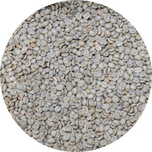 Indian Mysore Nuggets - Extra Bold