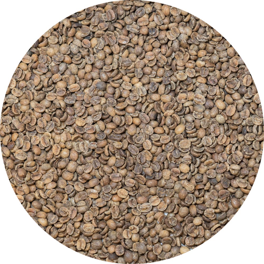 Decaffeinated Brazil Serra Negra – MWP